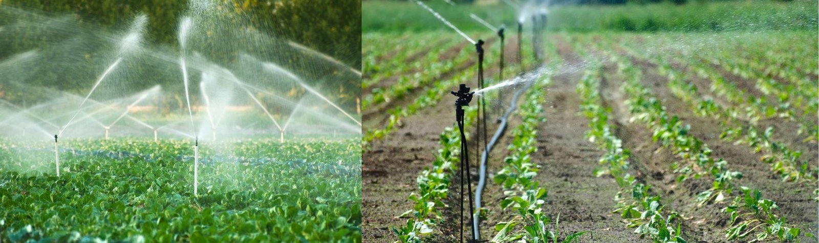 Irrigação Agrícola em Perdões