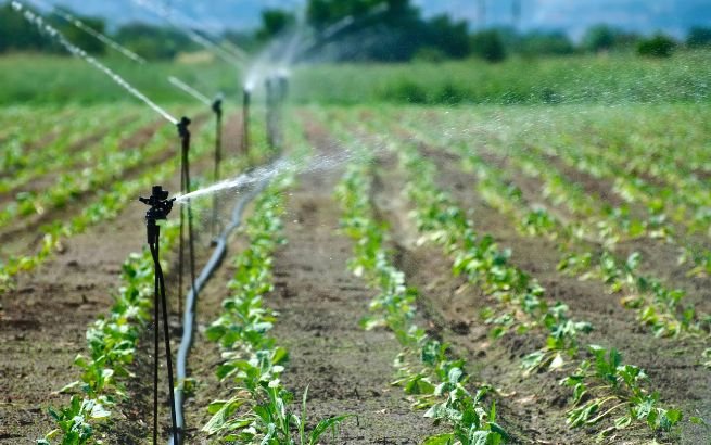 irrigacao-automatizada-amparo